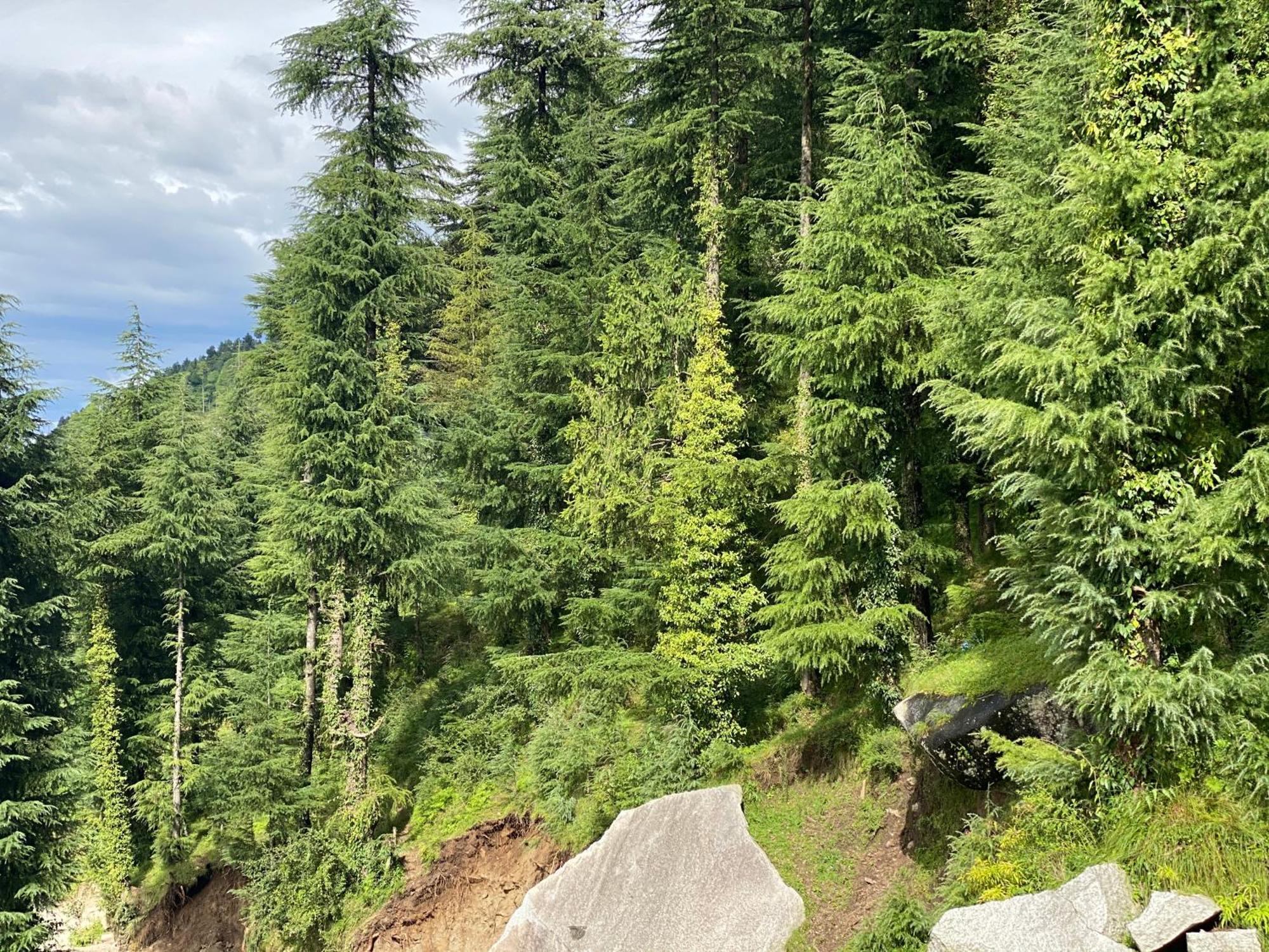 Aditya Homestay Dalhousie Exterior photo